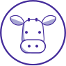 Fund Icon