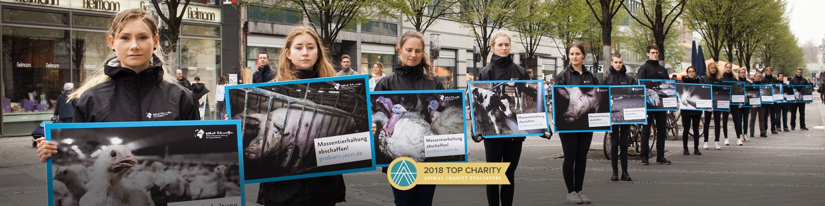 Sixteen animal activist line up holding photos of animals being slaughtered. Includes Animal Charity Evaluators 2018 Top Charity badge.