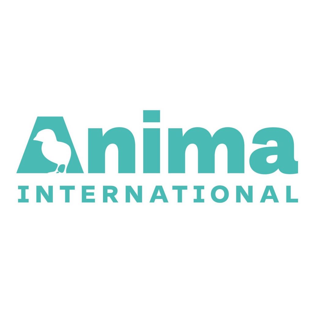 anima international's logo